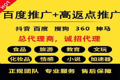 成功SEM托管案例解析